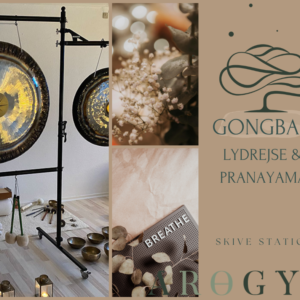 Gongbad, lydrejse & Pranayama